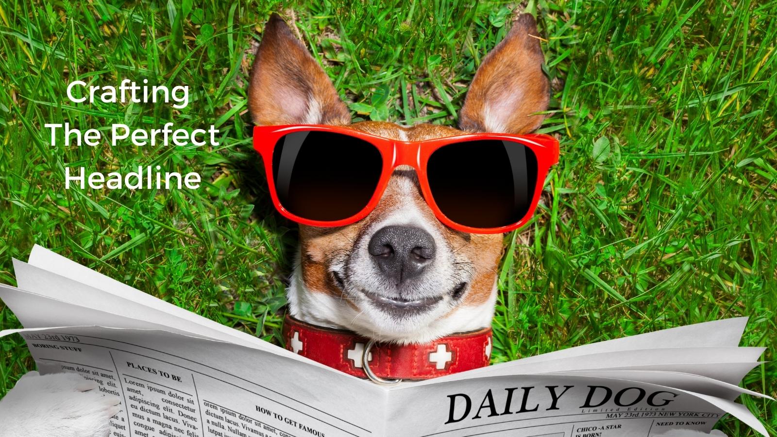 Headline Hacks Crafting The Perfect Title For Your Content