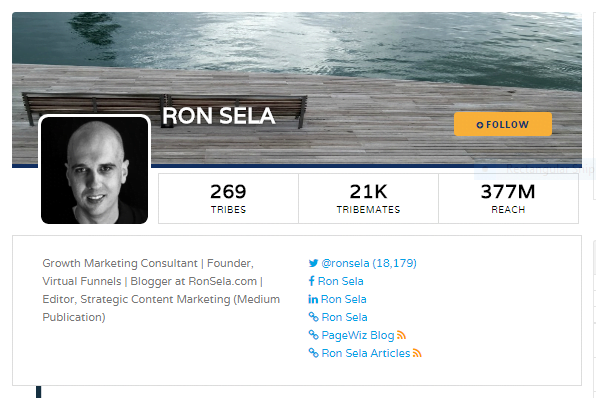 Ron Sela