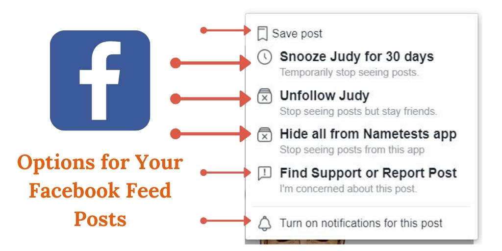 Facebook Post Options