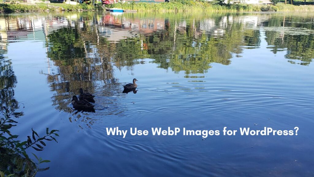 Why Use WebP Images for WordPress