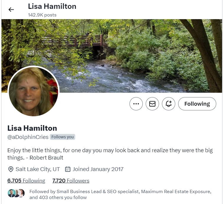 lisa Hamilton real estate agents on twitter