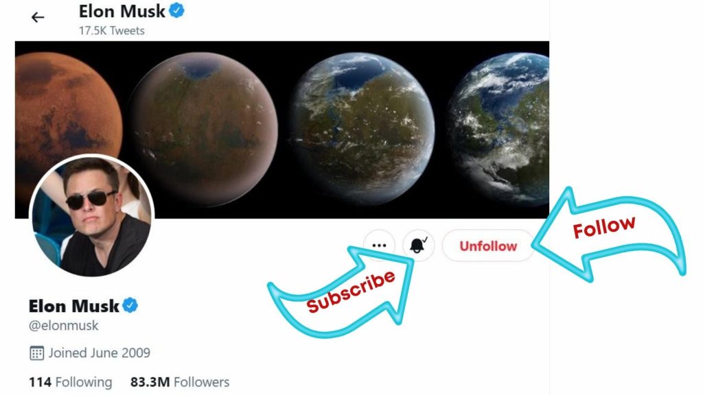 How to follow elon musk on twitter