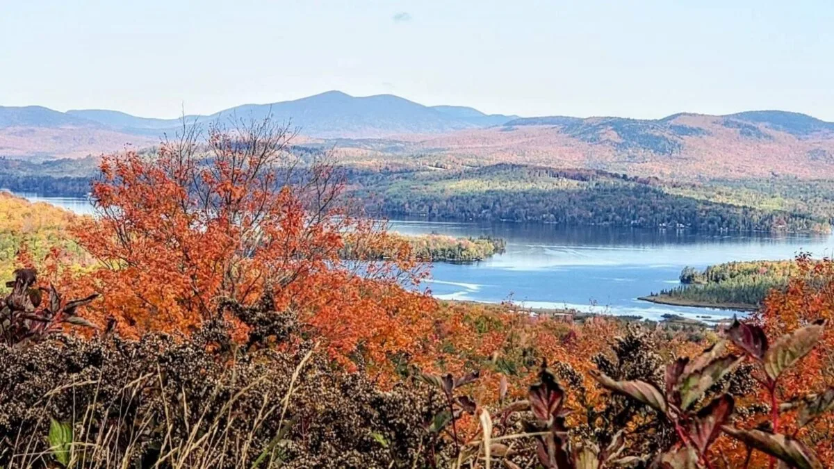 Colorful fall leaves on the mountains in western Maine.