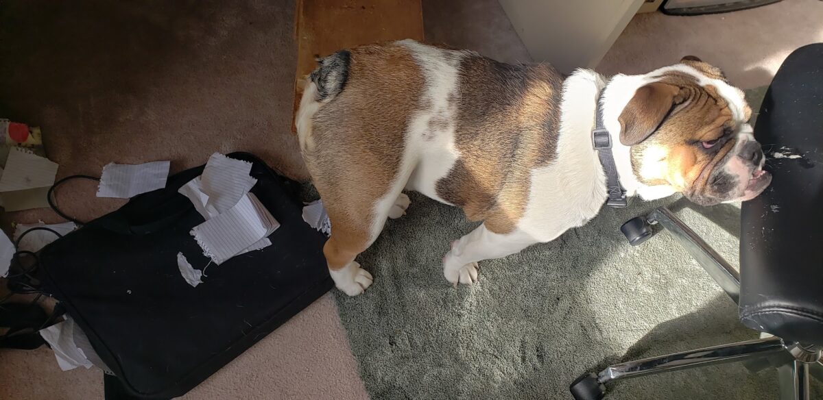 behind the scenes in my office 