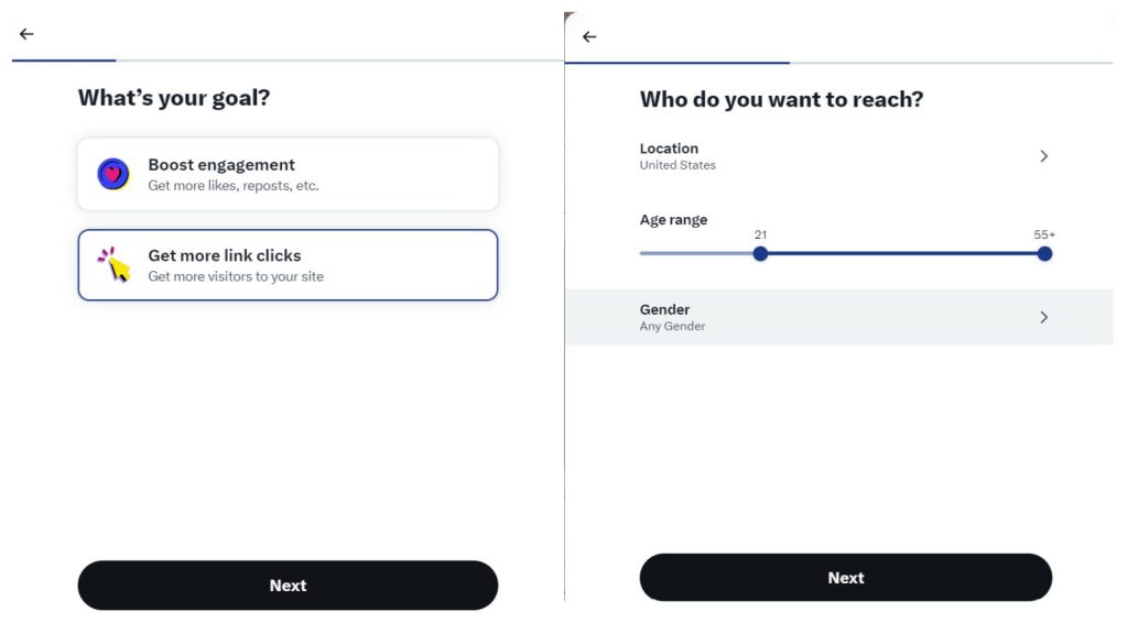 goal and reach of ad campaign