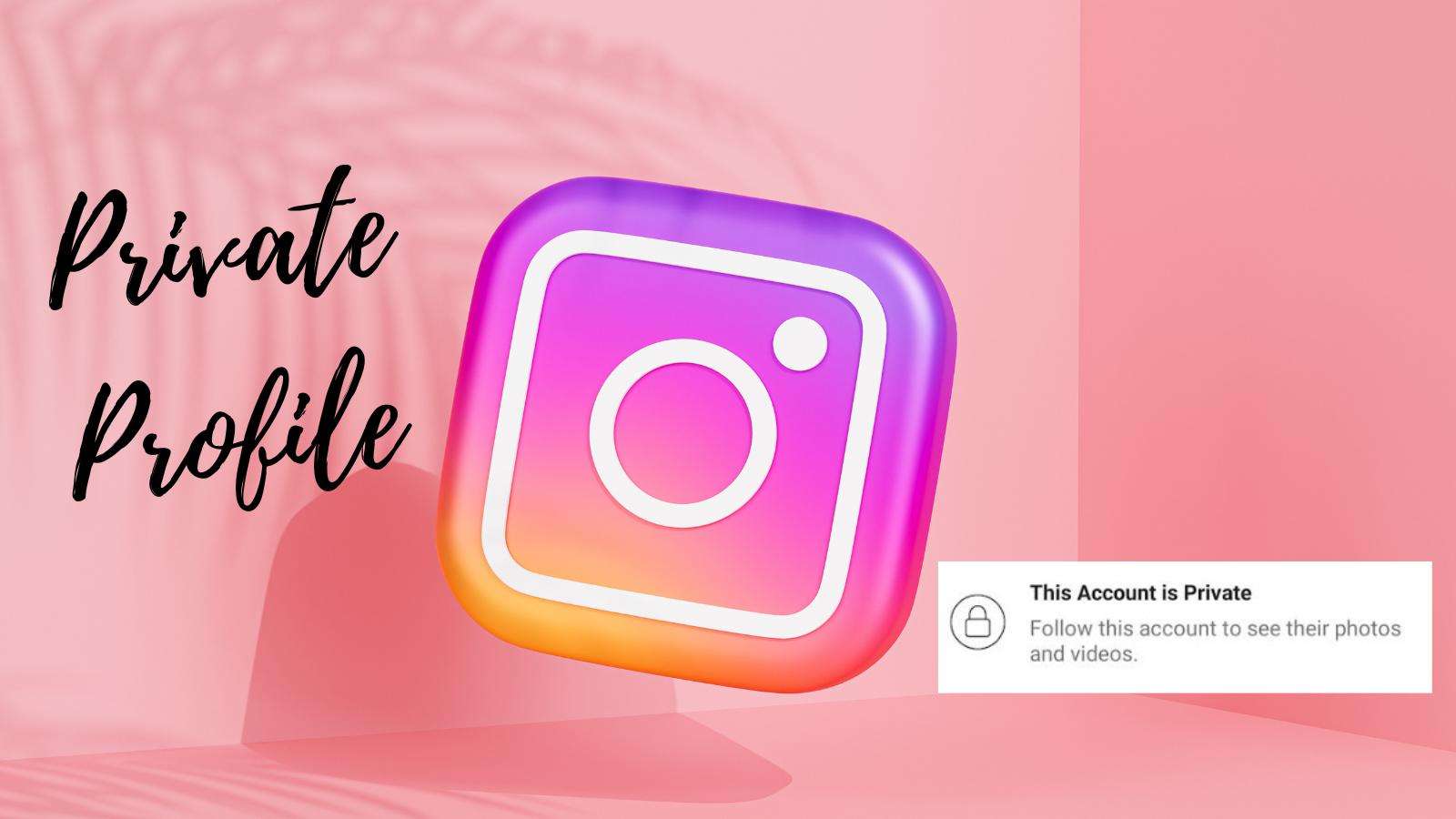 how to view private instagram accounts