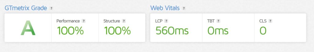 gt metrix web vitals