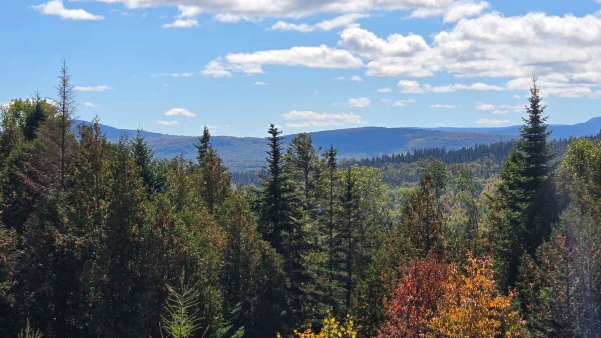 Morning walk in western Maine, one daily habit kept after the move.
