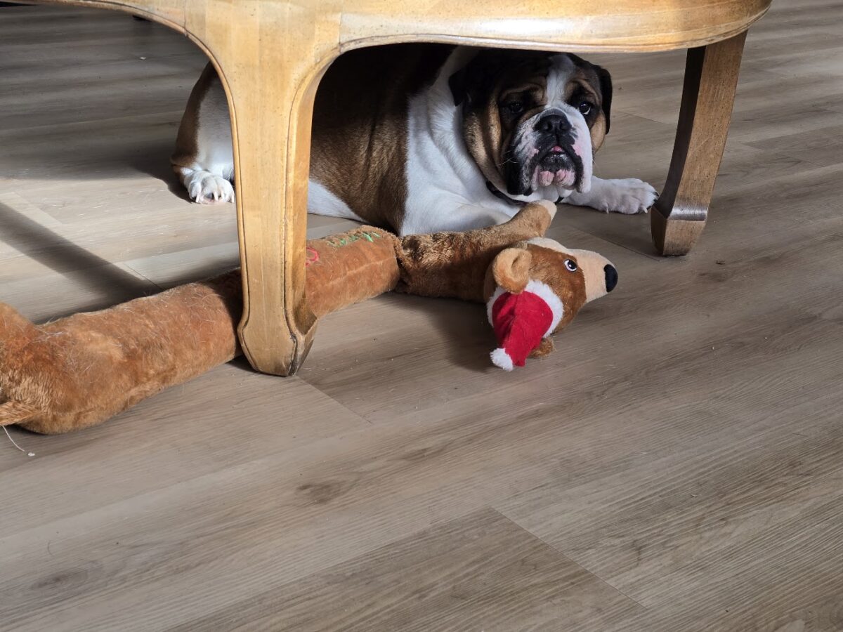 sharing personal content