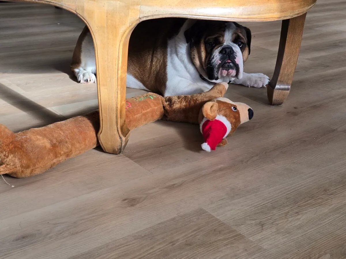 sharing personal content