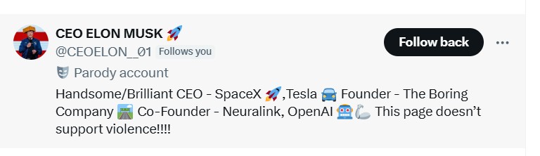 example of Elon Musk bot on X