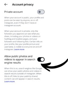 Instagram privacy setting for search engines