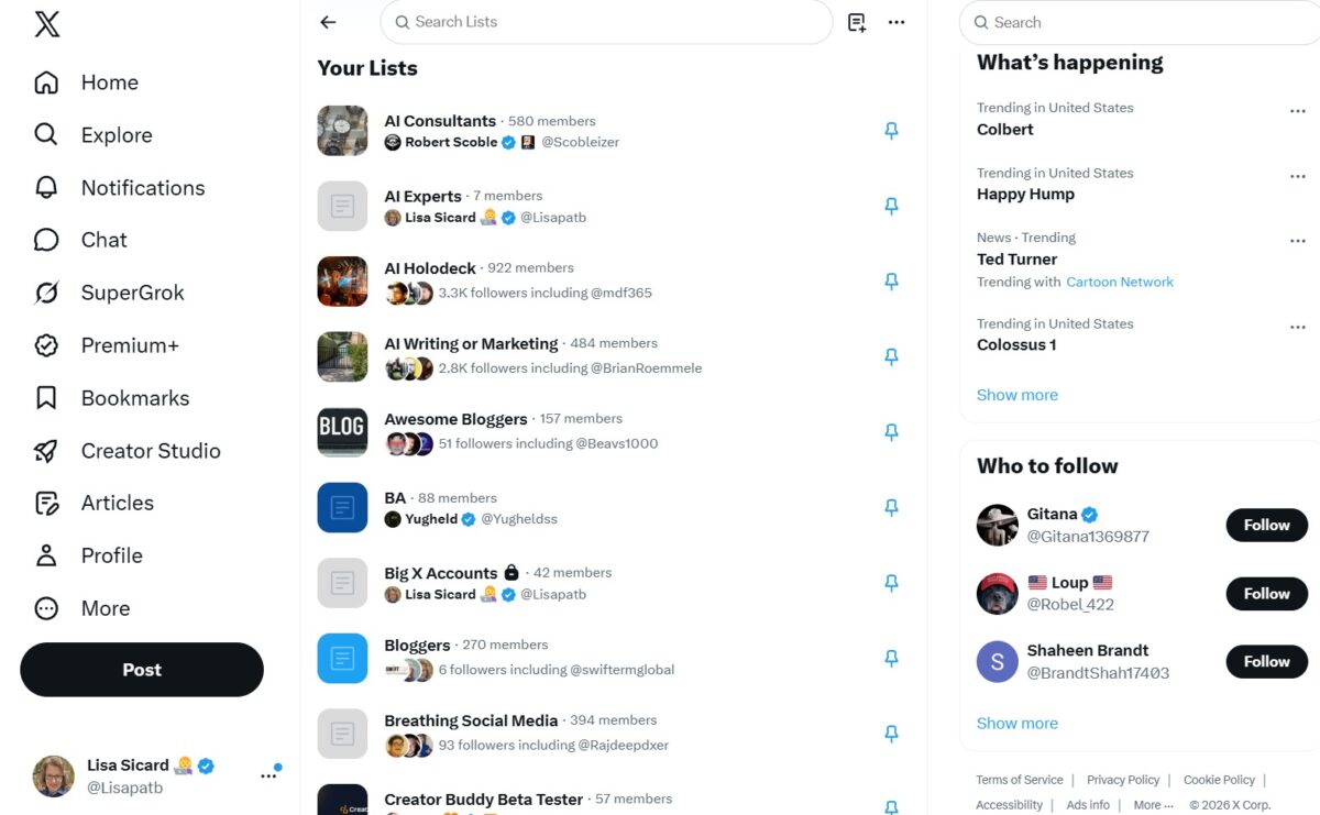 X Twitter Lists example with pinned lists