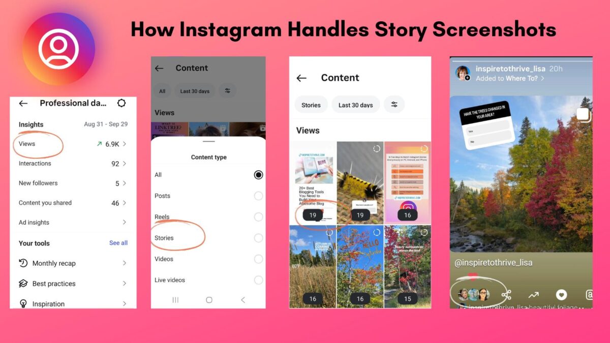 How Instagram Handles Story Screenshots How Instagram Handles Story Screenshots