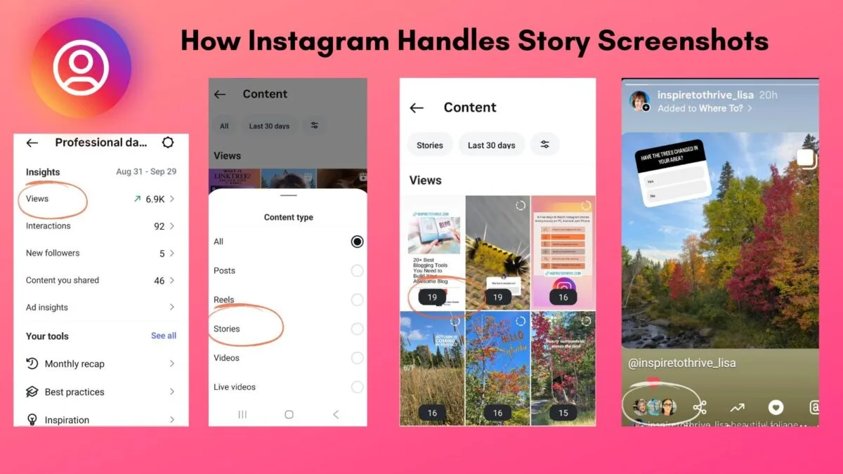 How Instagram Handles Story Screenshots How Instagram Handles Story Screenshots
