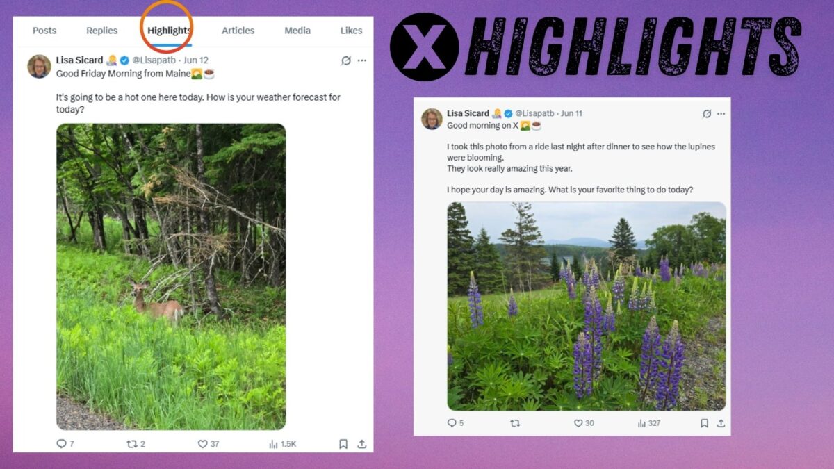See how the X highlights tab look and works for your X account.