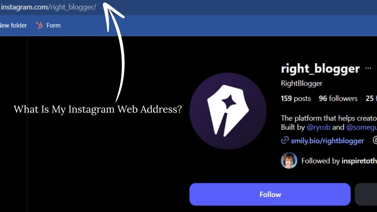 sample of Instagram web address
