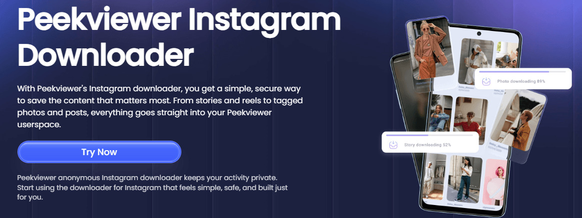 peekviewer Instagram downloader