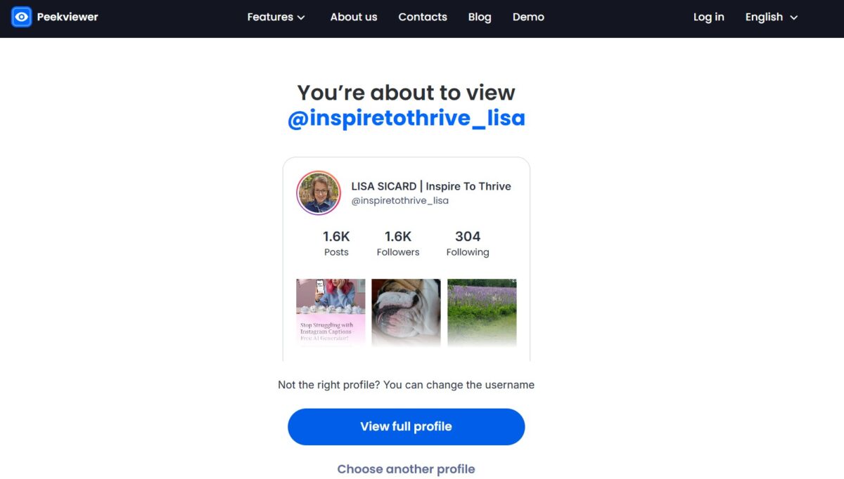 Peekviewer successfully showing an Instagram profile preview with posts, followers, and recent media