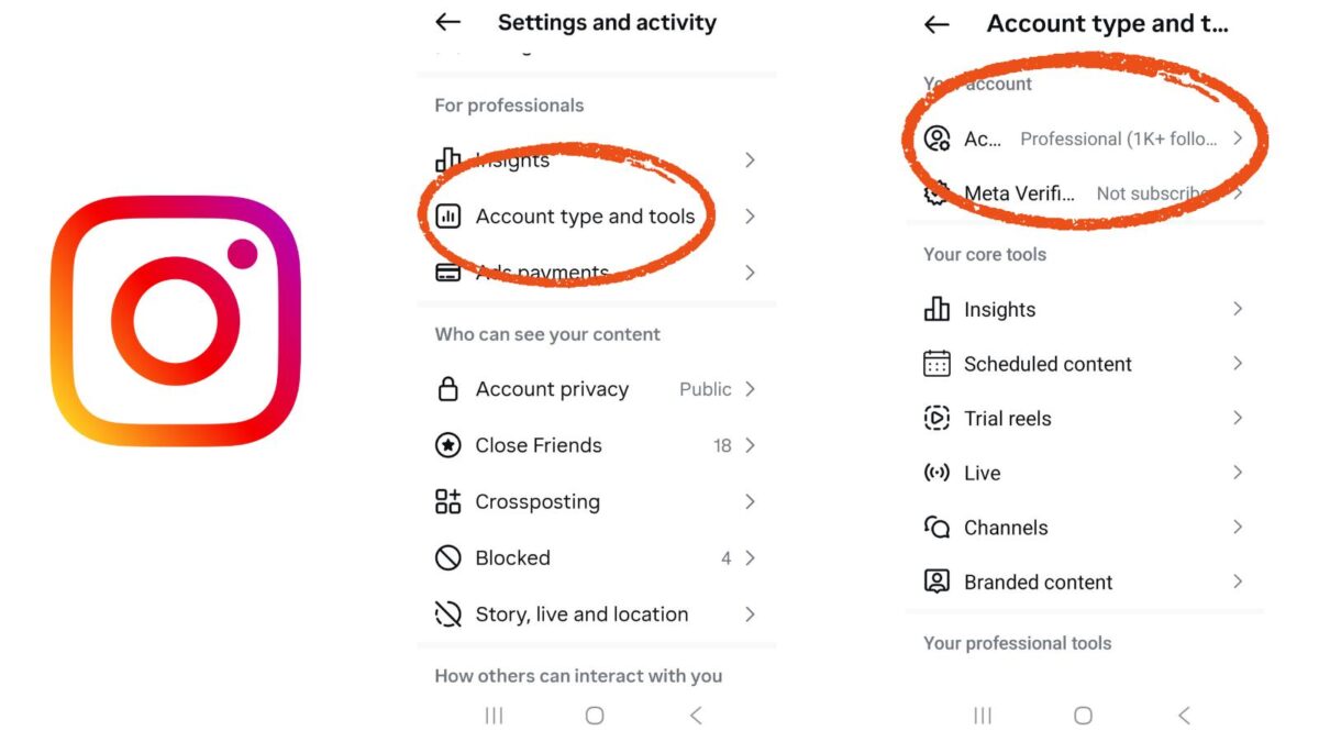 how to find your IG settings
