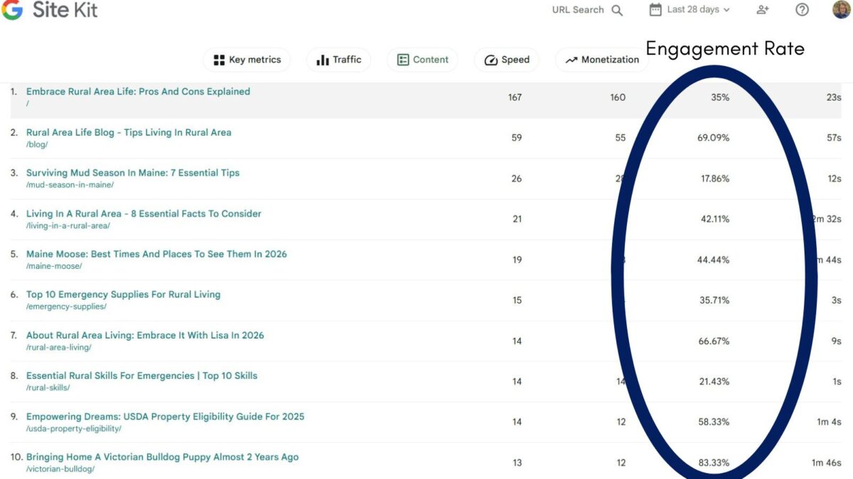engagement rate of the blog growth case study