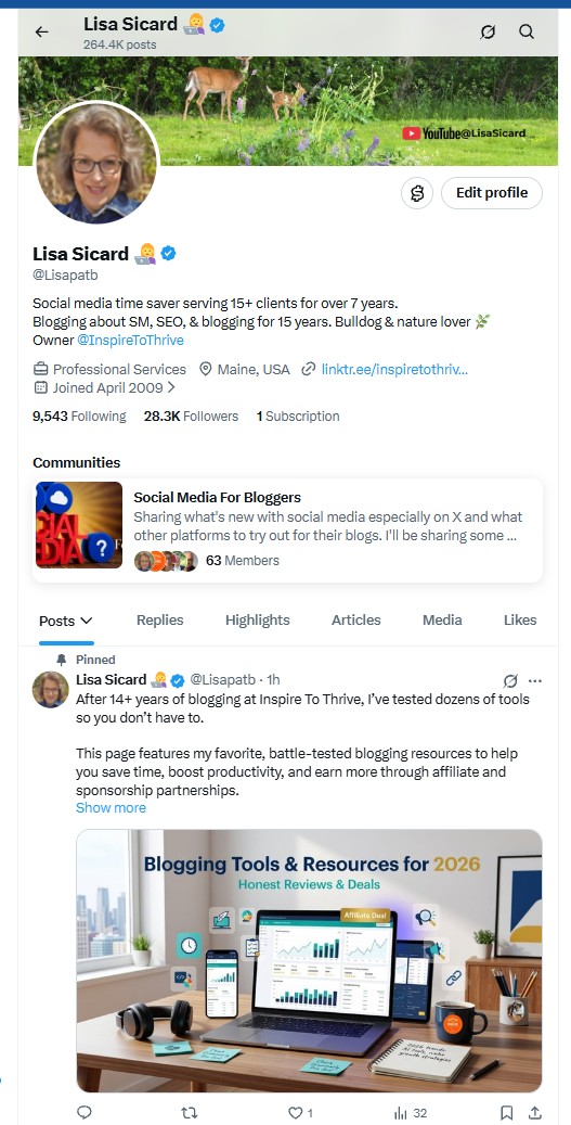 how a pinned post on X looks See how a pinned post looks on your X profile with Lisa's sample.