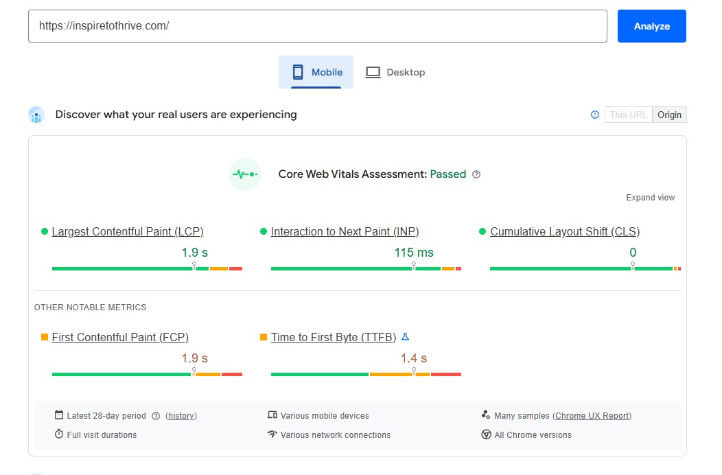 Google PageSpeed Insights and Core Web Vitals performance report exampl